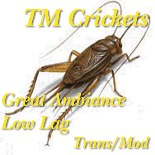 Ambient Crickets - Transfer/Mod