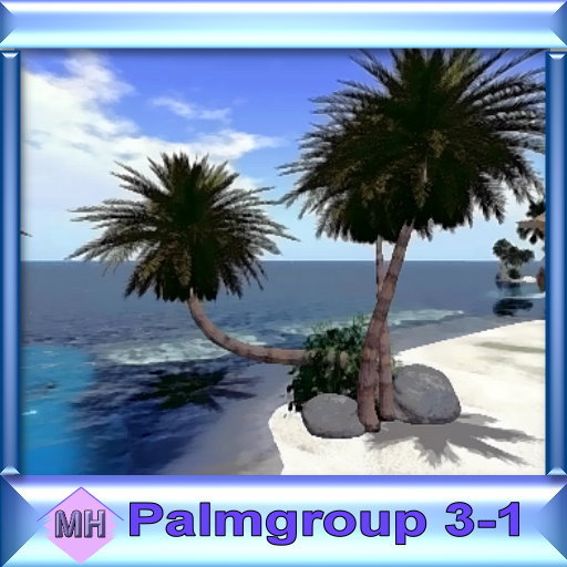Palmgroup 3-1 1