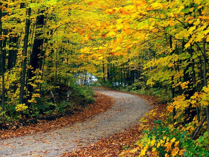 Autumn Drive