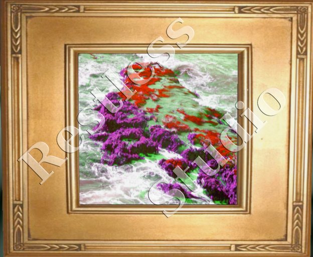 Psychedelic Lichen (framed)