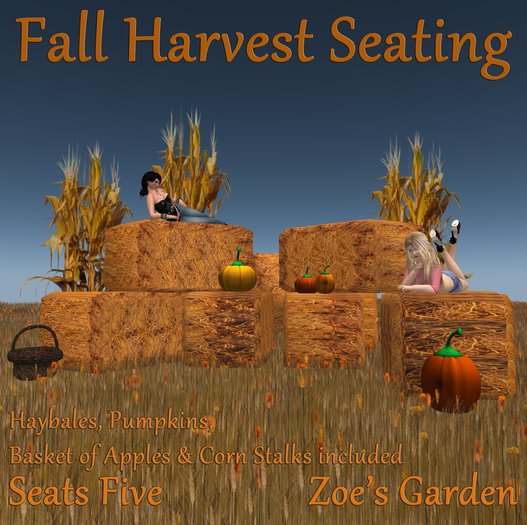 *ZG* Fall Harvest Seating 