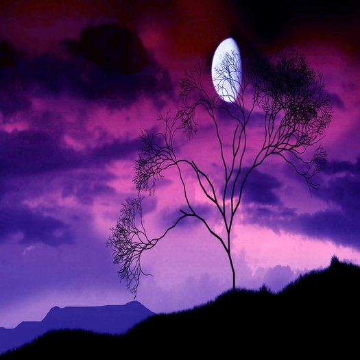 Purple tree brigth sky