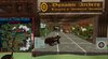 Animals at island of three rivers 001