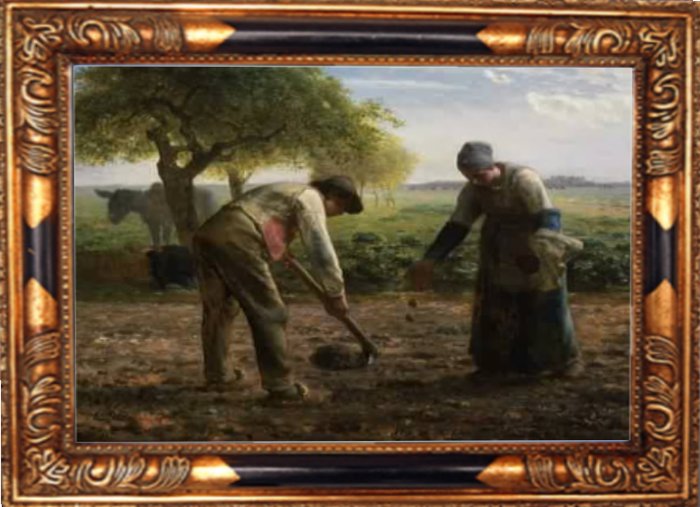 MILLET - POTATOE PLANTERS