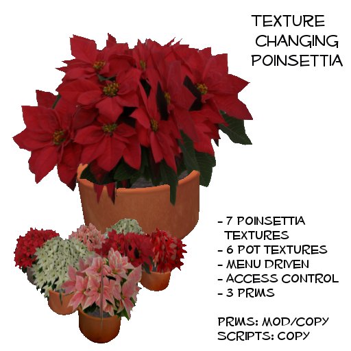 Texture changing sculpted Christmas Poinsettia/Weihnachtsstern