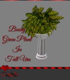 Bushy Green Plant in Tall Urn