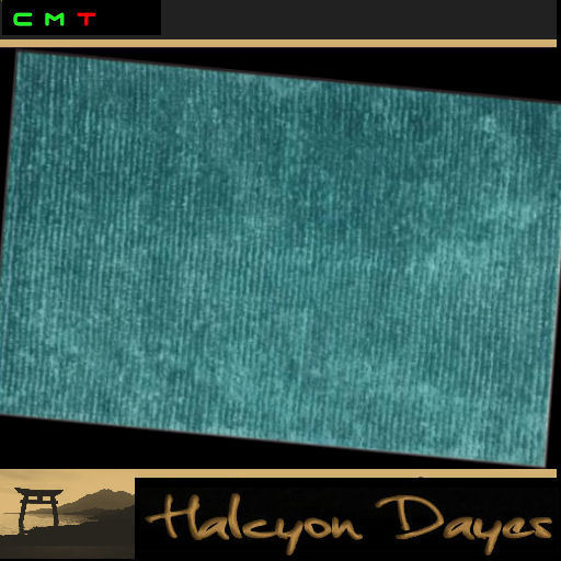 Area Rug - Teal 2