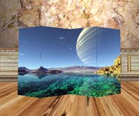 Japanese Style Screen 1