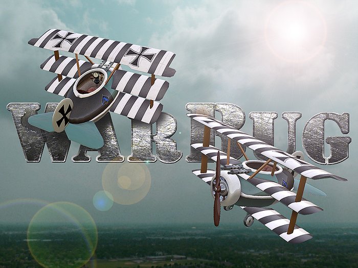 WarBug Airplane - Ace