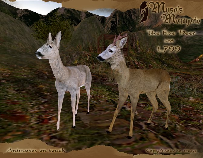 Muses Menagerie: Roe Deer Pack