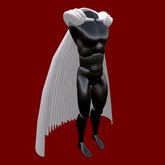 *The Seer* v1 Cloak (box)