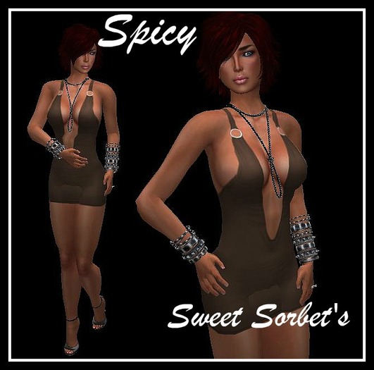 Sweet Sorbet's Spicy - Chocolate