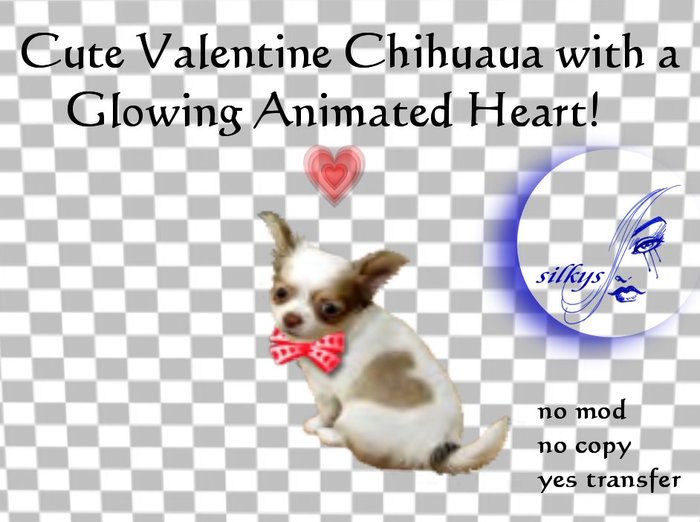 Valentine Glowing Heart sitting Chihuaua boxed
