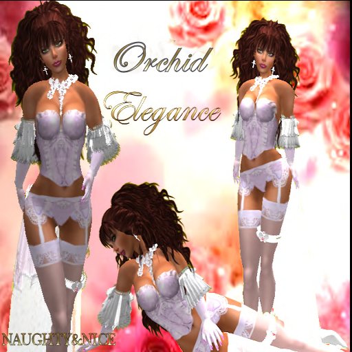 N&N Orchid Elegance