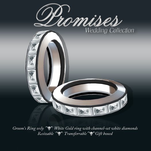 Exquisite Promises Man's Diamond / White Gold Ring