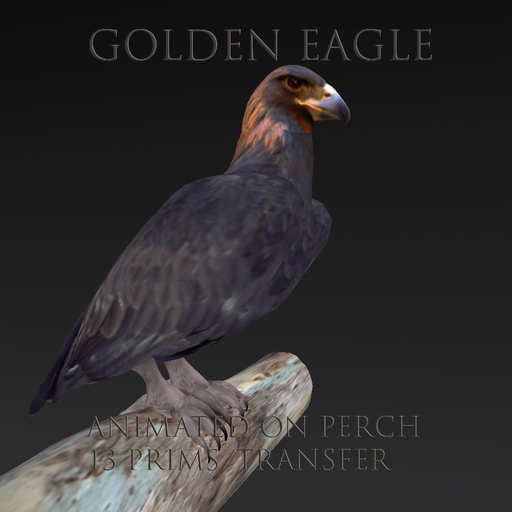 Golden Eagle