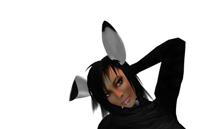 bunny's ears