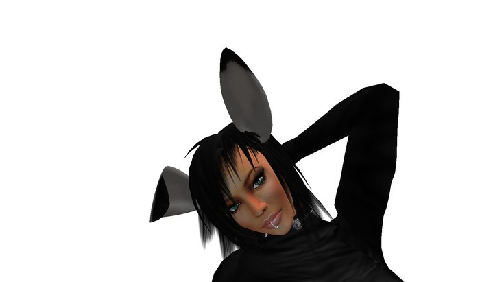 bunny's ears