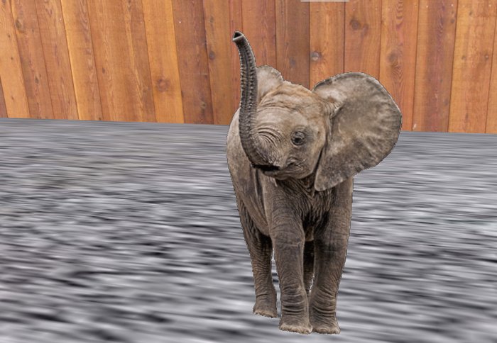 BABY ELEPHANT