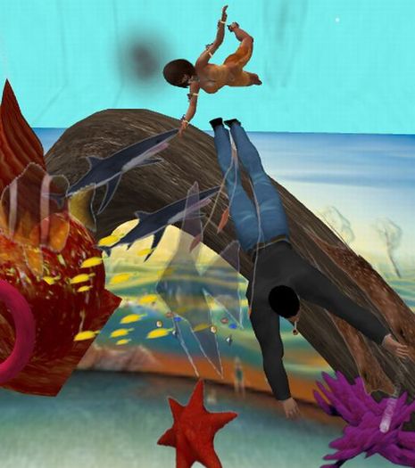 Reef Bridge Ocean Decor