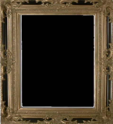 659BG Frame