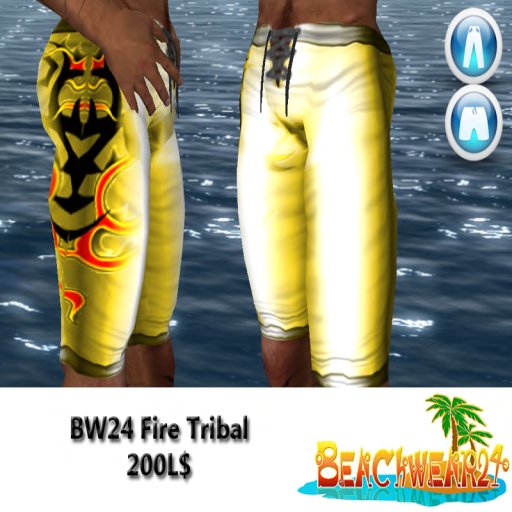 BW24 Fire Tribal Box