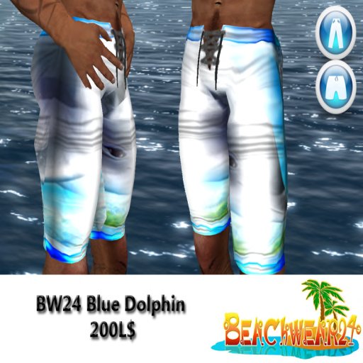 BW24 Blue Dolphin Box