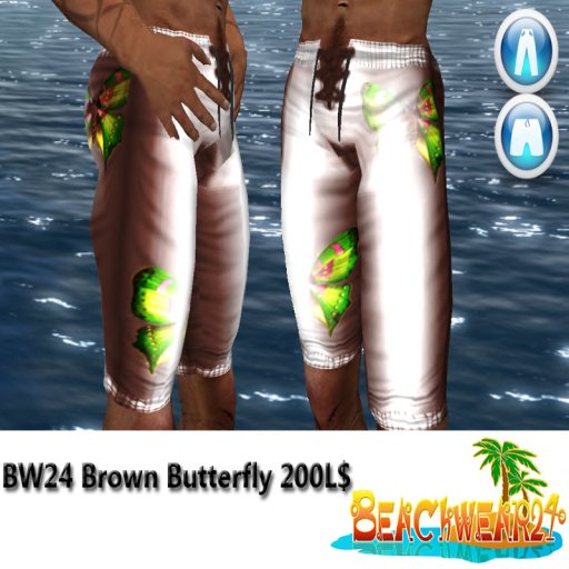 BW24 Brown Butterfly Box