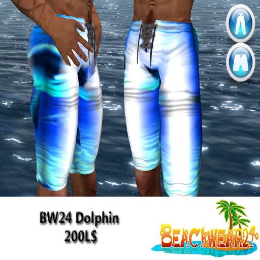 BW24 Dolphin Box