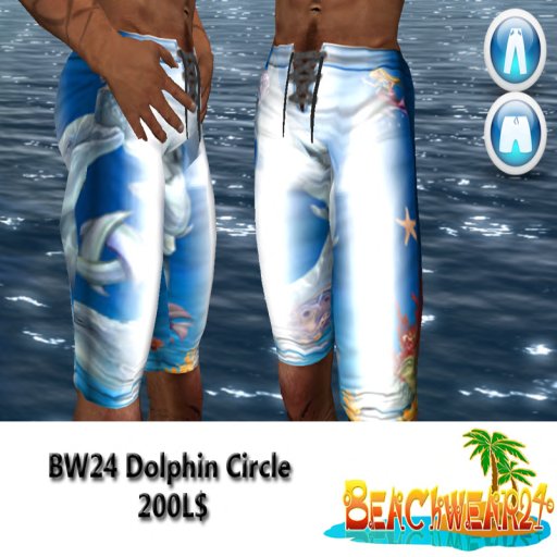 BW24 Dolphin Circle Box