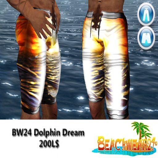 BW24 Dolphin Dream Box