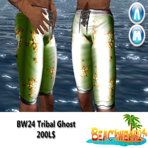 BW24 Tribal Ghost Box