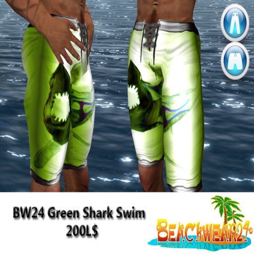 BW24 Green Shark Swim Box