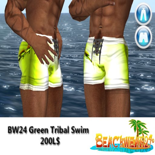 BW24 Green Tribal Swim Box