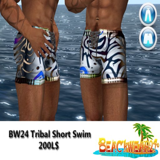 BW24 Tribal Short Swim Box