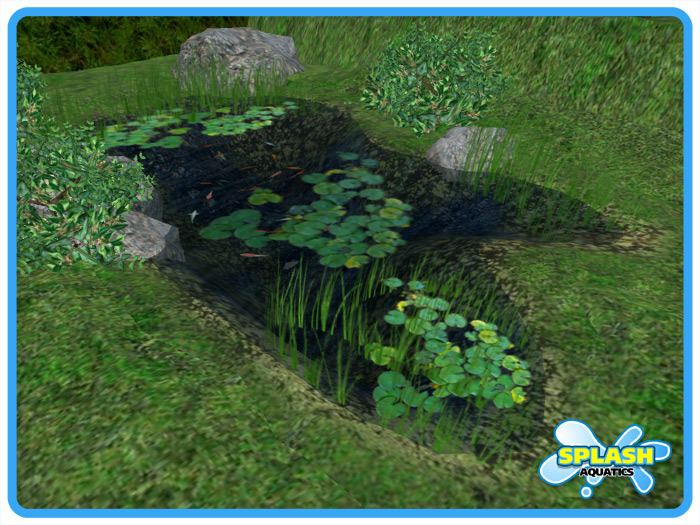 Sculpted Ponds - Nature