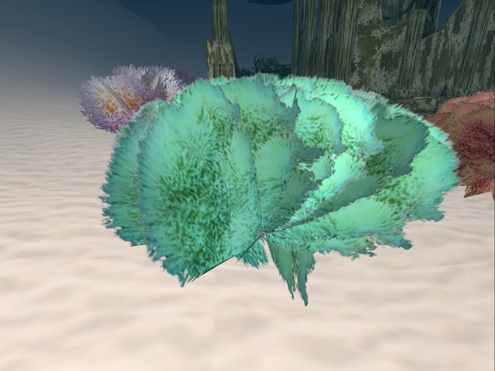 Underwater Plant 2