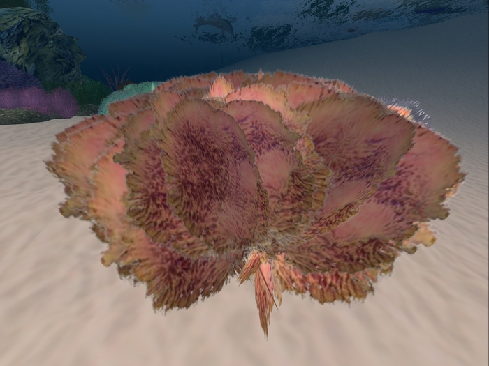 Underwater Plant 4