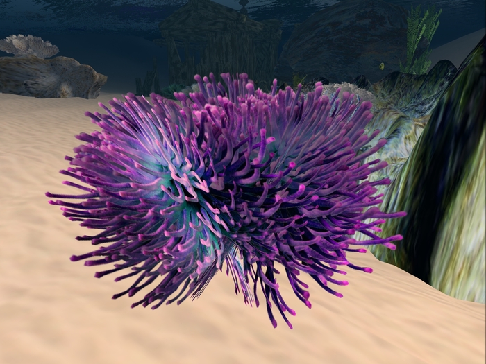 Underwater Plant 11