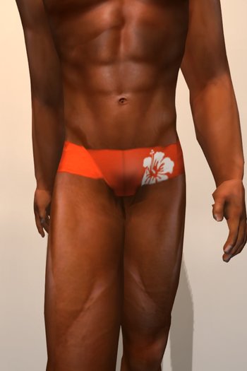 ASKA Swimwear Hibiscus  Orange