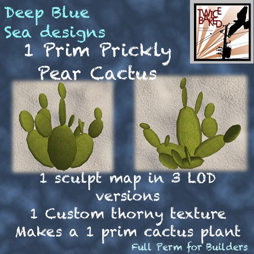 DBS & TB 1 prim Prickly Pear Cactus (crated) 