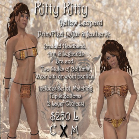 CC - Kitty Kitty (Bengal) 