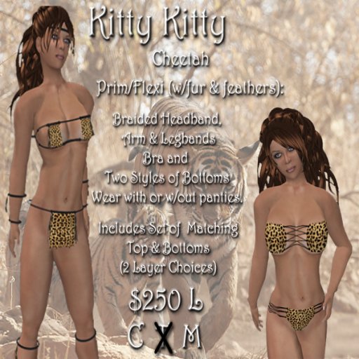 CC - Kitty Kitty (Cheetah)