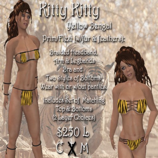 CC - Kitty Kitty (Yellow Bengal) 