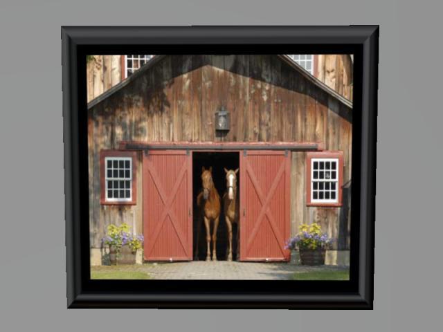 Horse Greetings !
