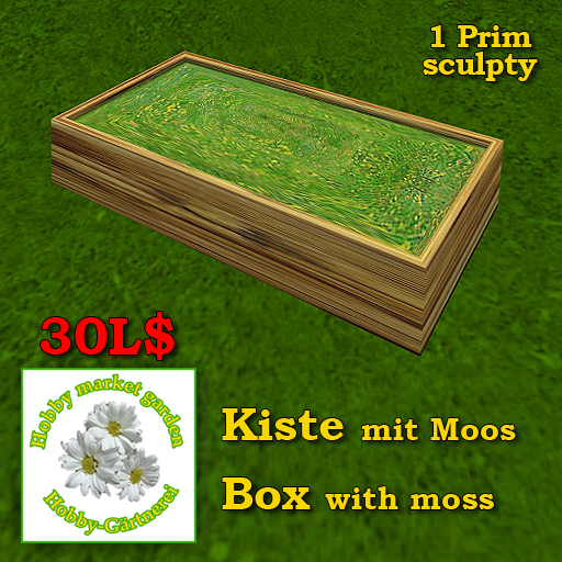 Box with moss