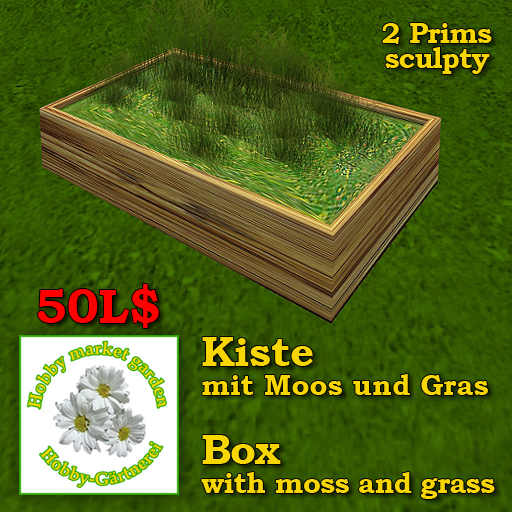 Box with moss and grass