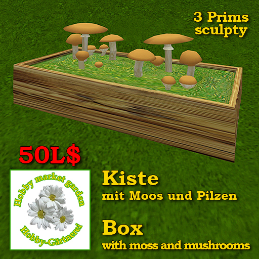 Box with moss and mushrooms