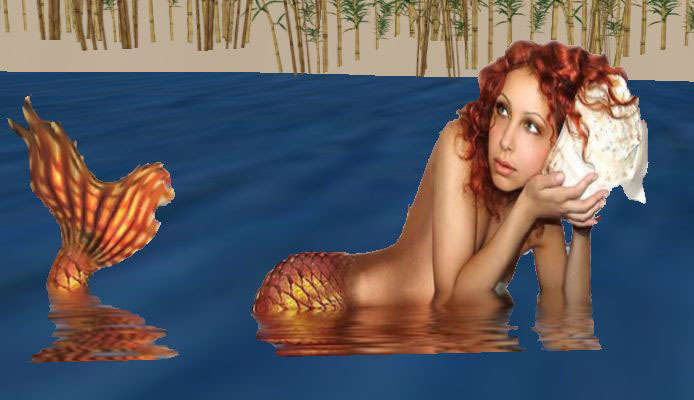 MERMAID SIREN SIRENE