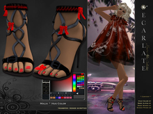 Calisse  -  Shoes Formal - Chaussures